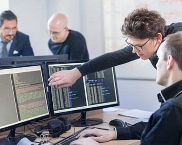 services software development